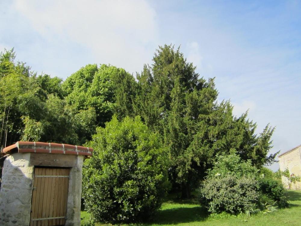 Les Cagouilles Bed and Breakfast Virson Buitenkant foto